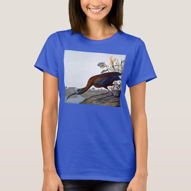 Audubon: Glossy Ibis Tee Shirt (Framsida)