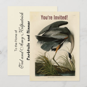 Audubon Great Blue Hägrar Marsh Fågel Inbjudningar
