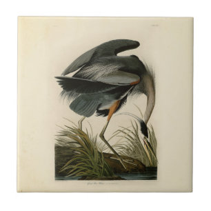Audubon Great Blue Hägrar Marsh Fågel Kakelplatta