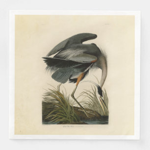 Audubon Great Blue Hägrar Marsh Fågel Pappersservett