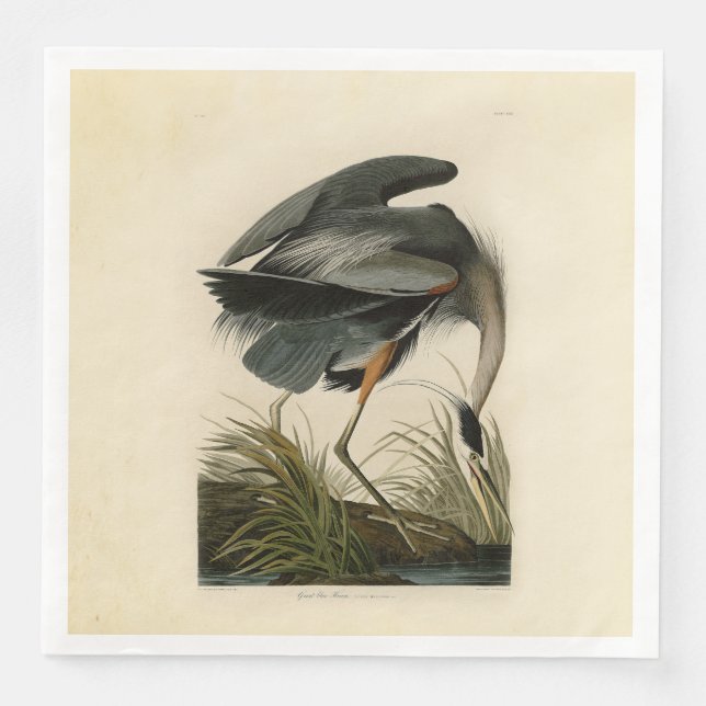 Audubon Great Blue Hägrar Marsh Fågel Pappersservett (Framsida)