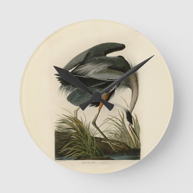 Audubon Great Blue Hägrar Marsh Fågel Rund Klocka (Framsida)