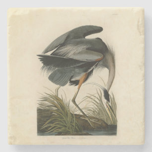 Audubon Great Blue Hägrar Marsh Fågel Stenunderlägg