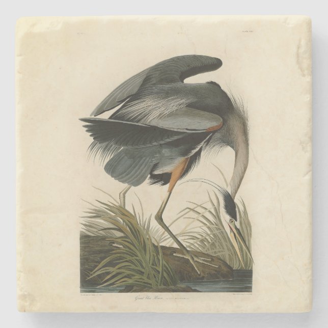 Audubon Great Blue Hägrar Marsh Fågel Stenunderlägg (Framsidan)