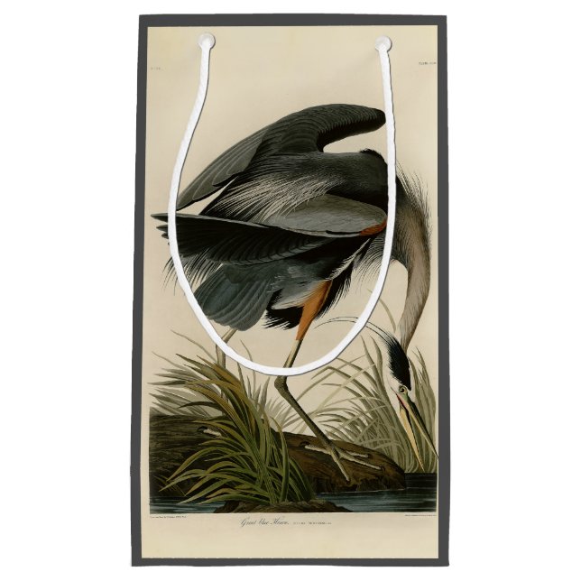 Audubon Great Blue Heron Marschfågel (Framsidan)