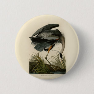 Audubon Great Blue Heron Marschfågel Knapp
