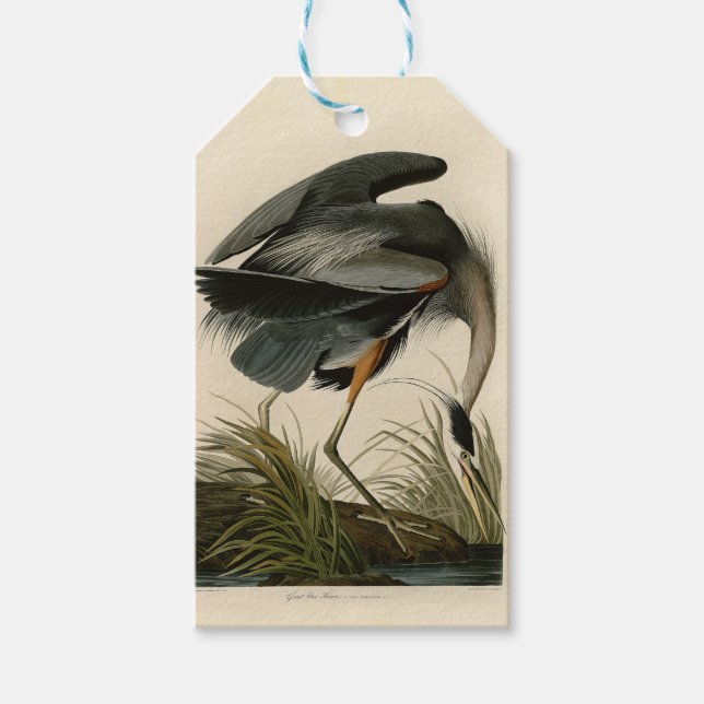 Audubon Great Blue Heron Marsh Bird Presentetikett (Framsidan)