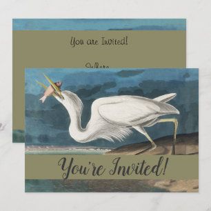 Audubon Great White Heron: Vintage kustfågel Inbjudningar