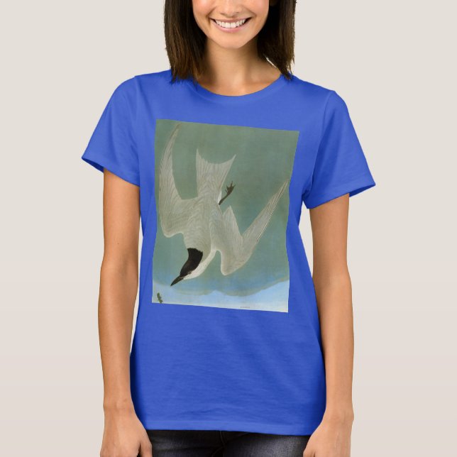 Audubon: Gull-Billed Tern Tee (Framsida)