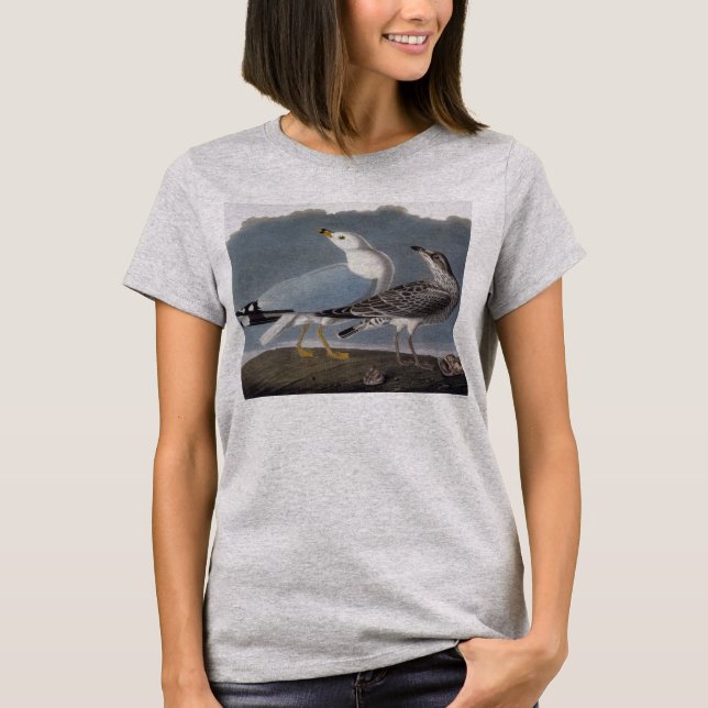 Audubon: Gull på Ring-Billed Tee Shirt (Framsida)