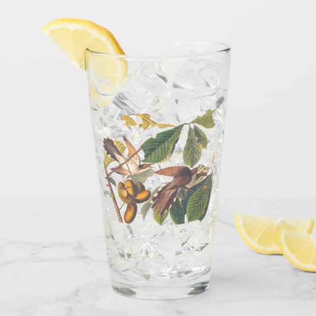 Audubon Gult-Billed Cuckoo Birds in Fruit Träd Glaskopp (Framsida Ice)