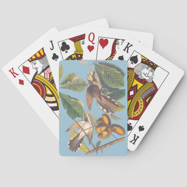 Audubon Gult Billed Cuckoo Casinokort (Baksidan)