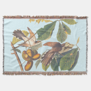 Audubon Gult Billed Cuckoo Filt