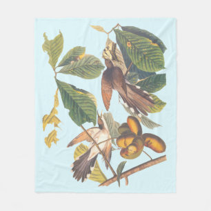 Audubon Gult Billed Cuckoo Fleecefilt