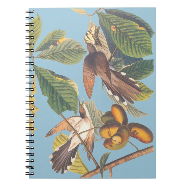 Audubon Gult Billed Cuckoo Mini Clipboard Anteckningsbok (Framsidan)