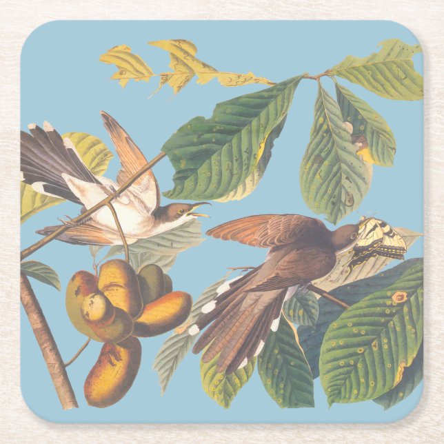 Audubon Gult Billed Cuckoo Underlägg Papper Kvadrat (Framsidan)