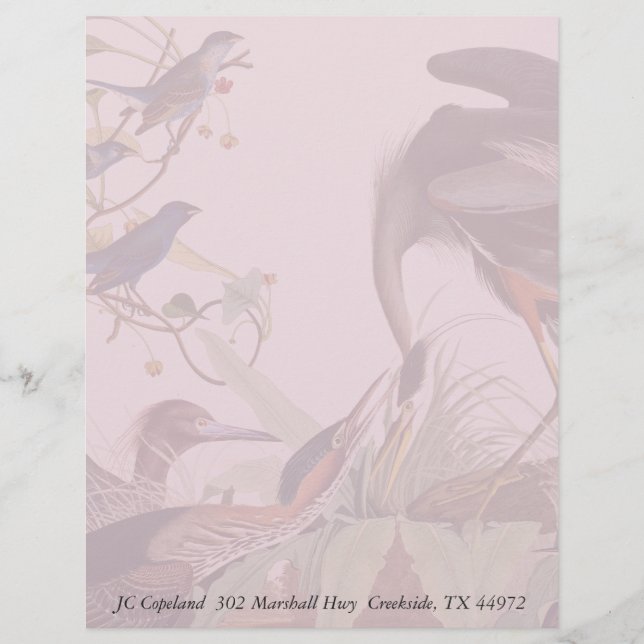 Audubon Heron Birds Collage Stationery Letterhead (Framsida)