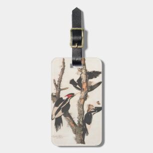 Audubon Ivory-Billed Woodpecker Bagagebricka