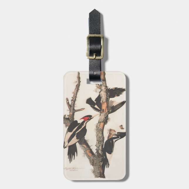Audubon Ivory-Billed Woodpecker Bagagebricka (Vertikal Framsida)