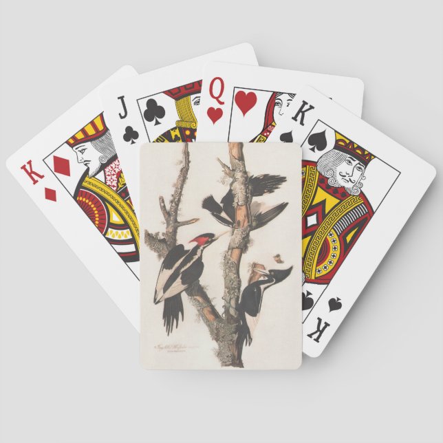 Audubon Ivory-Billed Woodpecker Casinokort (Baksidan)