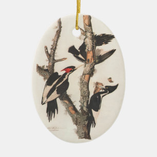 Audubon Ivory-Billed Woodpecker Julgransprydnad Keramik