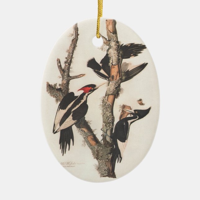 Audubon Ivory-Billed Woodpecker Julgransprydnad Keramik (Framsidan)