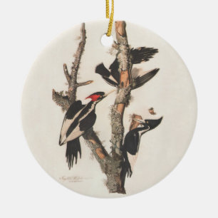 Audubon Ivory-Billed Woodpecker Julgransprydnad Keramik