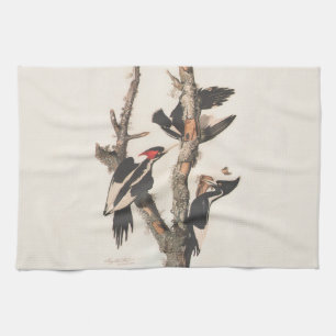 Audubon Ivory-Billed Woodpecker Kökshandduk
