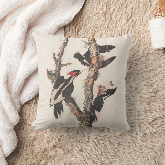 Audubon Ivory-Billed Woodpecker Kudde (Filt)
