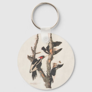 Audubon Ivory-Billed Woodpecker Nyckelring