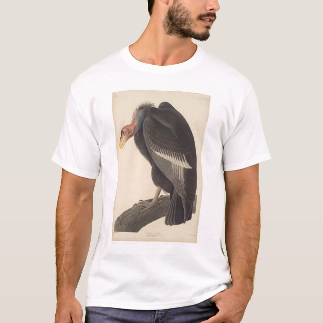 Audubon Kalifornien gam (2609A) Tee (Framsida)