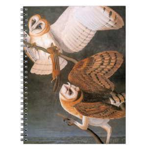 Audubon: Ladugårduggla Anteckningsbok Med Spiral
