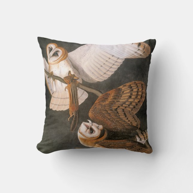 Audubon: Ladugårduggla Kudde (Framsida)