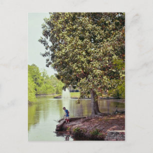 Audubon Lagoon Vykort