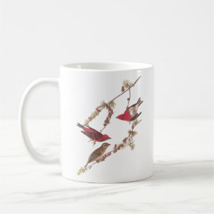 Audubon Lila Finch Red Birds on Conifer Träd Kaffemugg