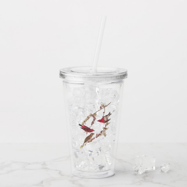 Audubon Lila Finch Red Birds on Conifer Träd Take Away Mugg (Baksida Ice)