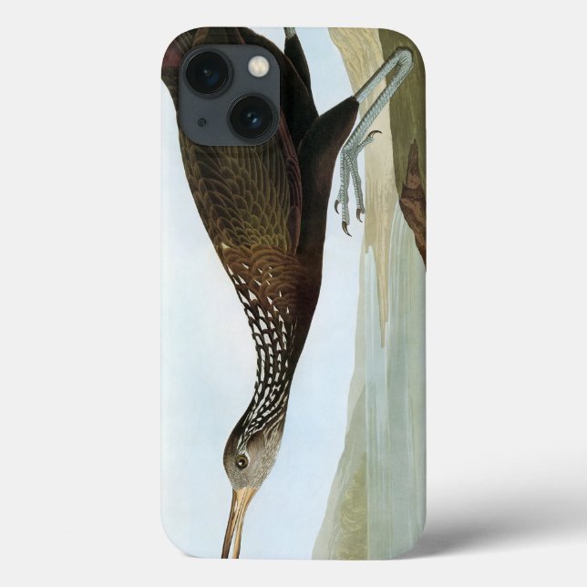 Audubon: Limpkin (Baksida)