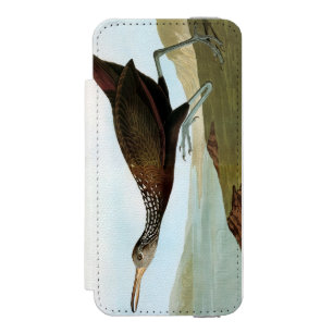 Audubon: Limpkin