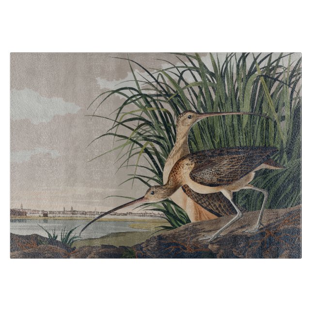 Audubon Long-Billed Curlew Bird (Framsidan)
