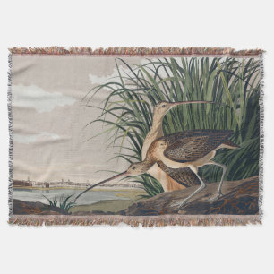 Audubon Long-Billed Curlew Bird Filt