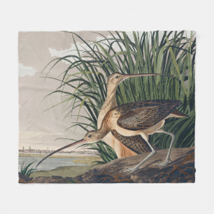 Audubon Long-Billed Curlew Bird Fleecefilt