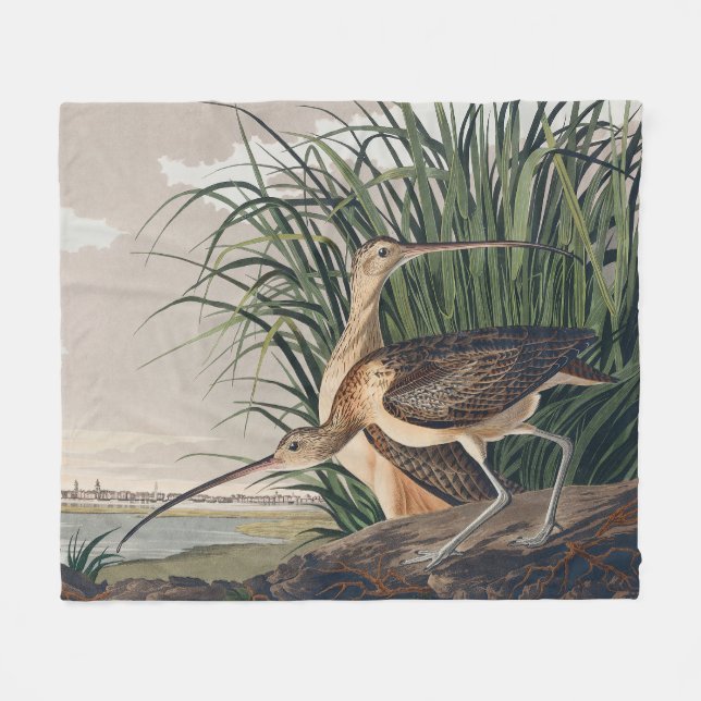 Audubon Long-Billed Curlew Bird Fleecefilt (Framsidan (Horisontell))