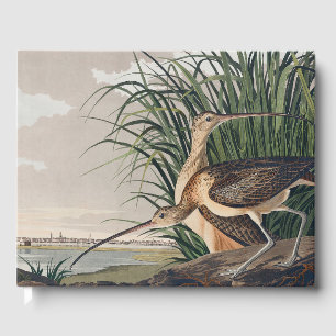 Audubon Long-Billed Curlew Bird Gästböcker