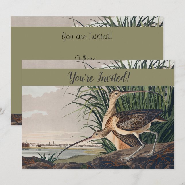 Audubon Long-Billed Curlew Bird Inbjudningar (Fram/baksida)