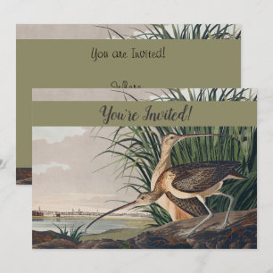 Audubon Long-Billed Curlew Bird Inbjudningar