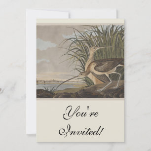 Audubon Long-Billed Curlew Bird Inbjudningar