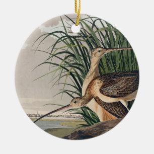 Audubon Long-Billed Curlew Bird Julgransprydnad Keramik