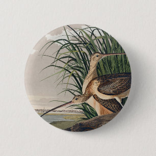 Audubon Long-Billed Curlew Bird Knapp