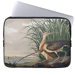 Audubon Long-Billed Curlew Bird Laptop Fodral