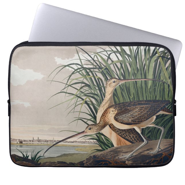 Audubon Long-Billed Curlew Bird Laptop Fodral (Framsidan)